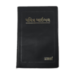 Gujarati Holy Bible Crown size RV Ref Re.edited