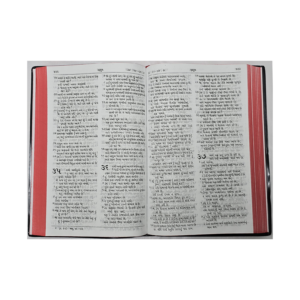 Gujarati Holy Bible Crown size RV Ref Re.edited - Image 3